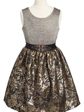 Iris and Ivy Brocade Party Dress